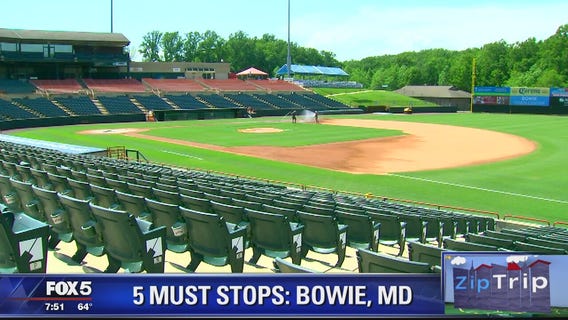 Bowie | Zip Trip: 5 Must Stops 5 Must Stops