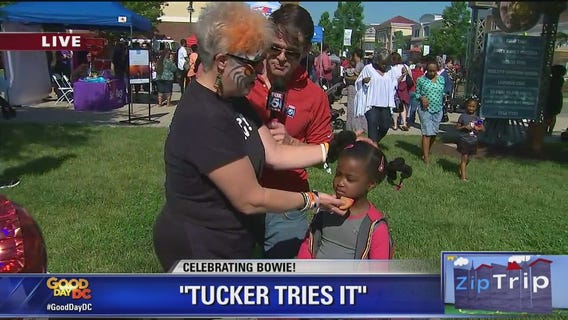 Bowie | Zip Trip: Tucker Tries It