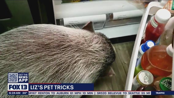 Liz?s Pet Tricks for Thursday, March 10