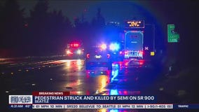 Pedestrian struck, killed by semi on SR 900