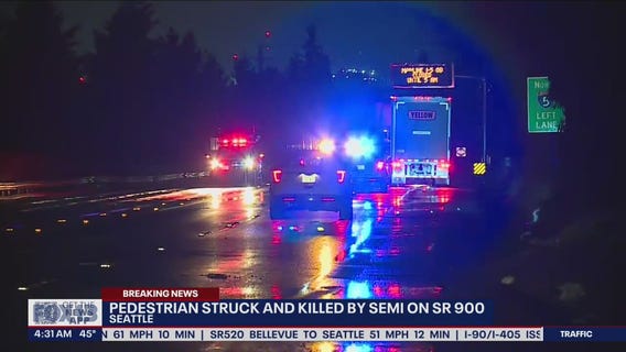 Pedestrian struck, killed by semi on SR 900