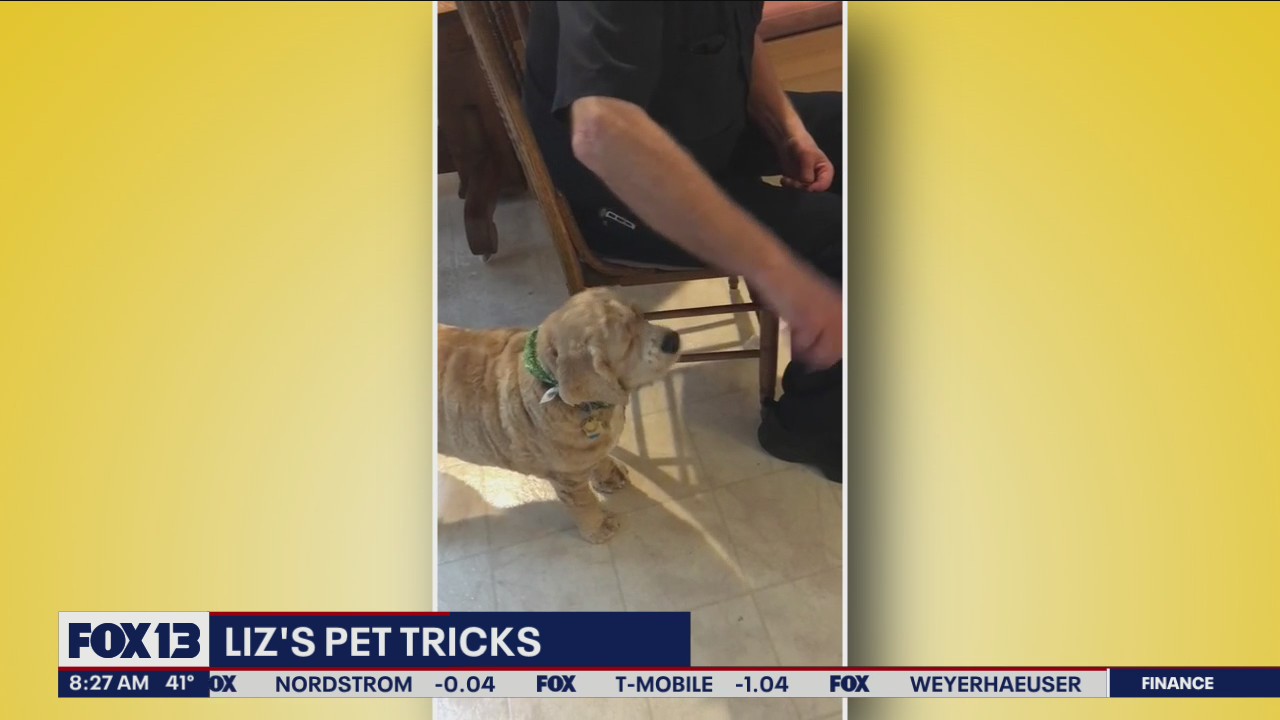 Liz?s Pet Tricks for Monday, March 21