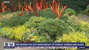 Previewing the 10th anniversary of Chihuly Garden and Glass