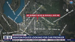 Police are looking for suspected car prowler