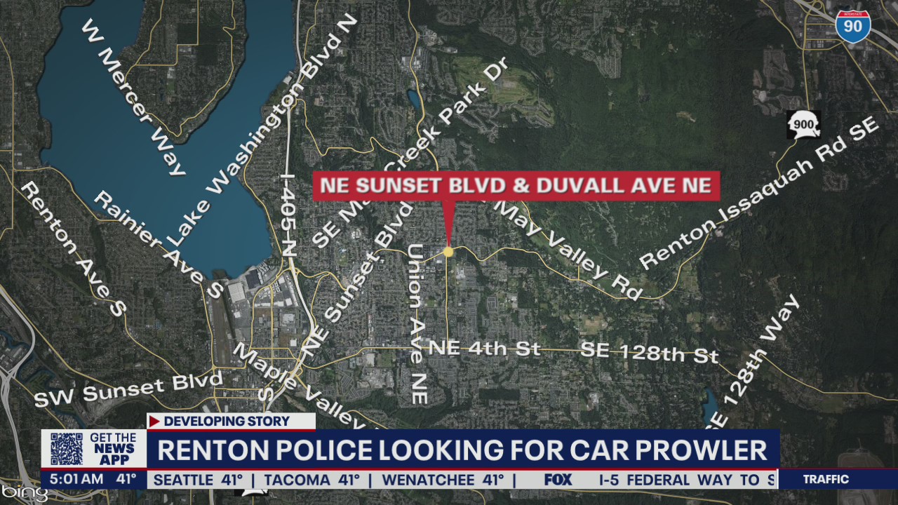 Police are looking for suspected car prowler