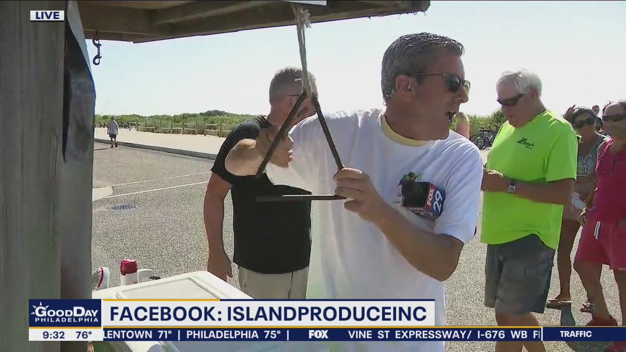 Bob on the Job: Fruit seller for Island Produce Market and Grill