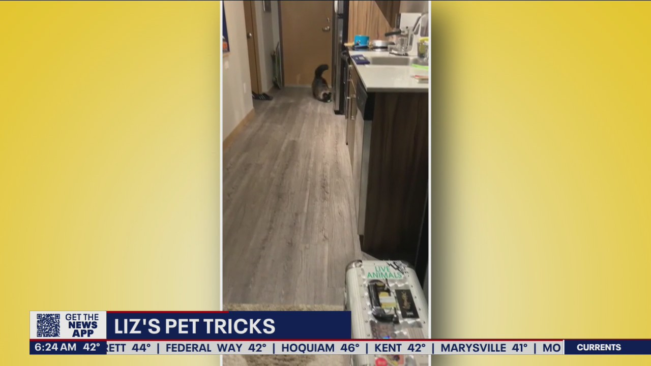 Liz's Pet Tricks for Friday, March 25