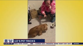 Liz?s Pet Tricks for Tuesday, March 29