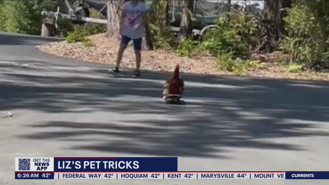 Liz?s Pet Tricks for Thursday, March 31