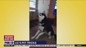 Liz?s Pet Tricks for Monday, April 4