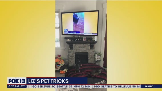 Liz's Pet Tricks for Tuesday, April 12