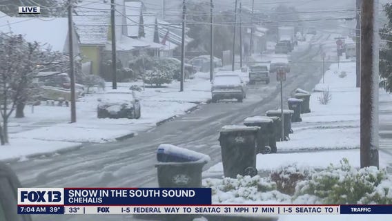 South sound hit with snow