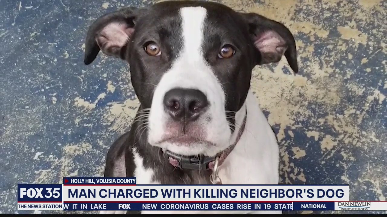 Man charged with killing neighbor's dog