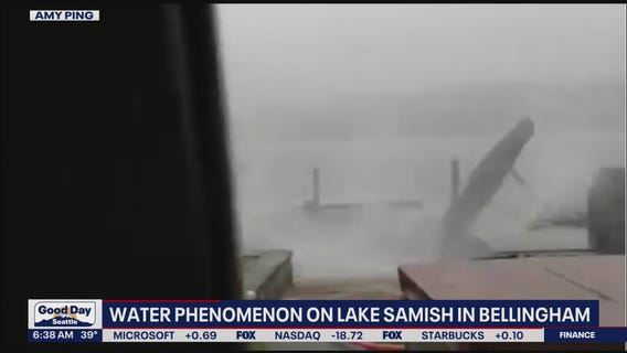 Watch: Possible waterspout wreaks havoc on dock in Washington
