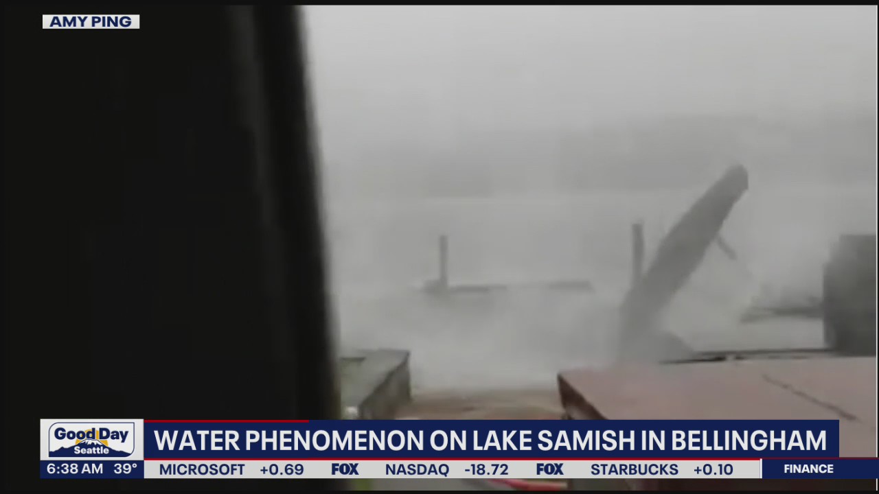Watch: Possible waterspout wreaks havoc on dock in Washington