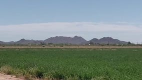 Arizona paraglider crash kills pilot