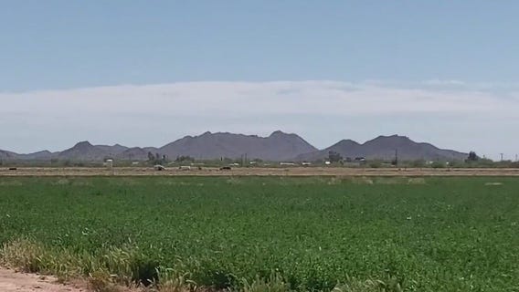 Arizona paraglider crash kills pilot