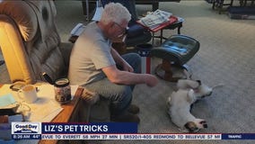 Liz?s Pet Tricks for Thursday, April 21