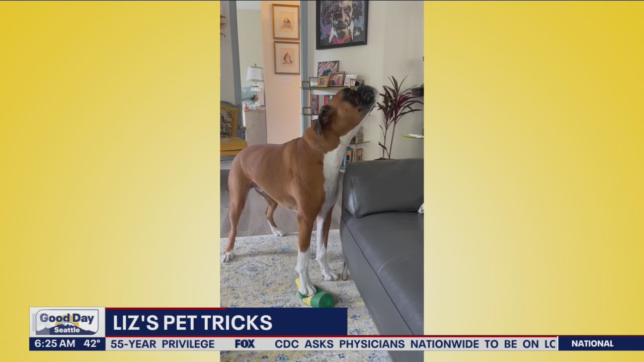 Liz?s Pet Tricks for Friday, April 22