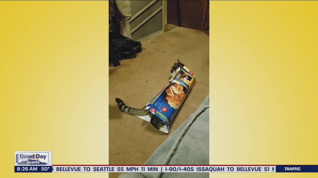 Liz?s Pet Tricks for Monday, April 25