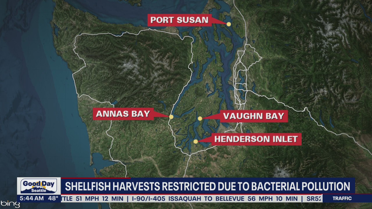 Shellfish harvests restricted due to bacterial pollution
