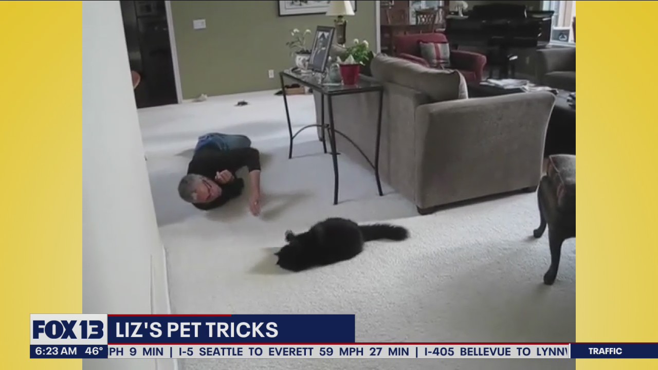 Liz's Pet Tricks for Monday, May 2