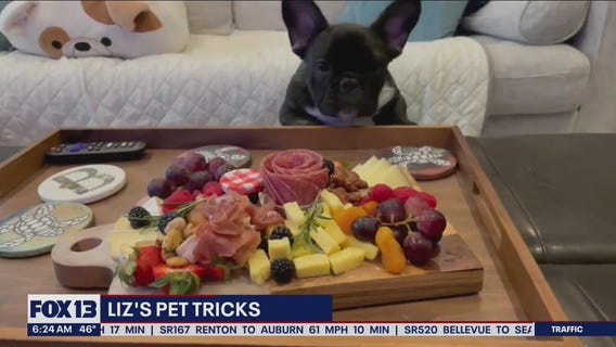 Liz's Pet Tricks for Tuesday, May 3