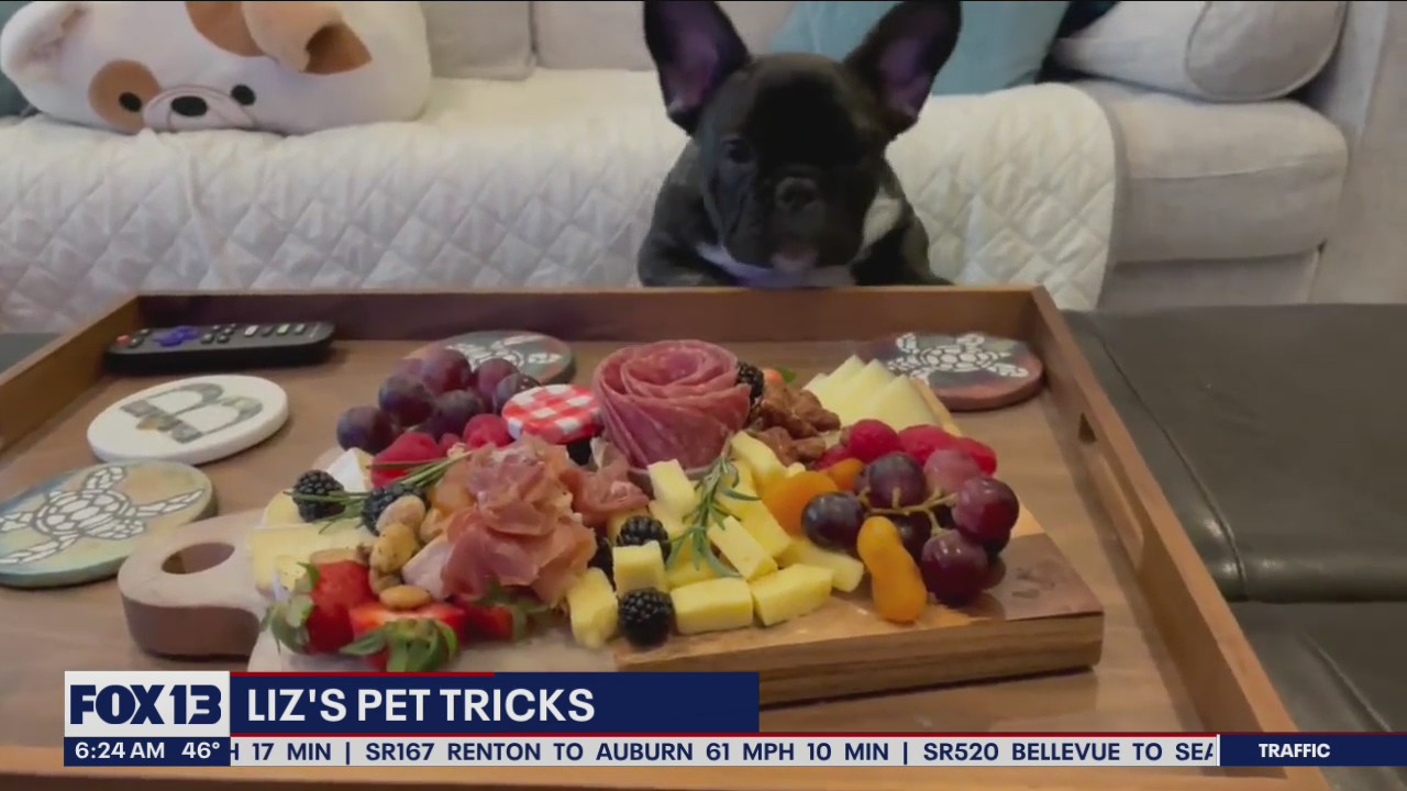 Liz's Pet Tricks for Tuesday, May 3