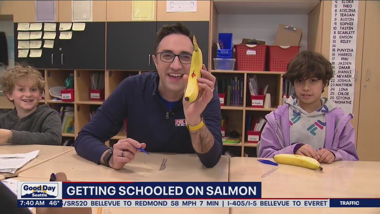 Getting schooled in Salmon