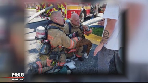 Officials: Dog may have sparked house fire after chewing on vaping device
