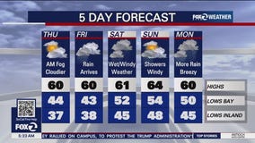 Morning fog, cloudier