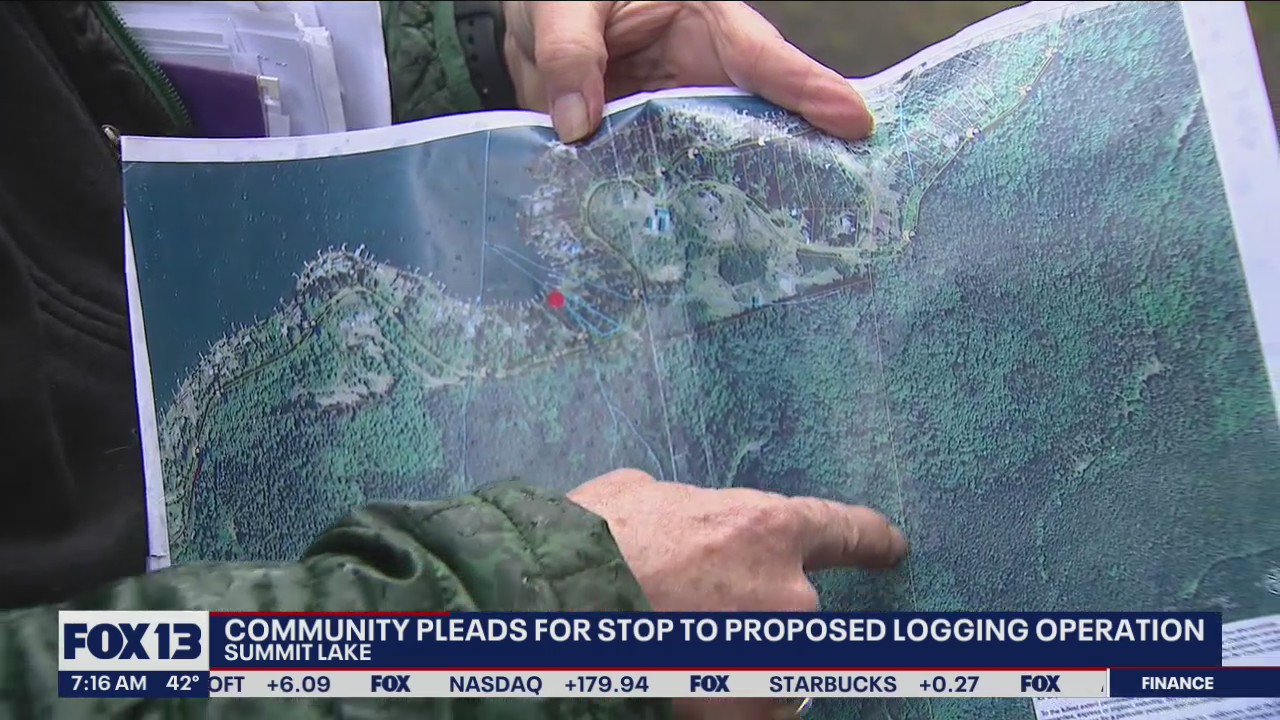 Community pleads for stop to proposed logging operation