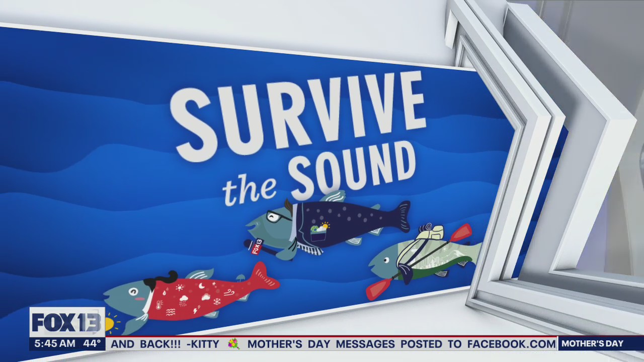 Final day of ?Survive the Sound?
