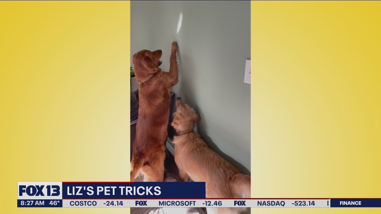 Liz's Pet Tricks for Thursday, May 5