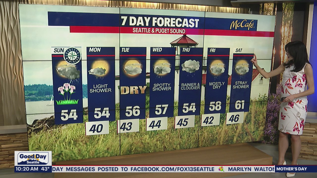 Only brief breaks from the rain this week