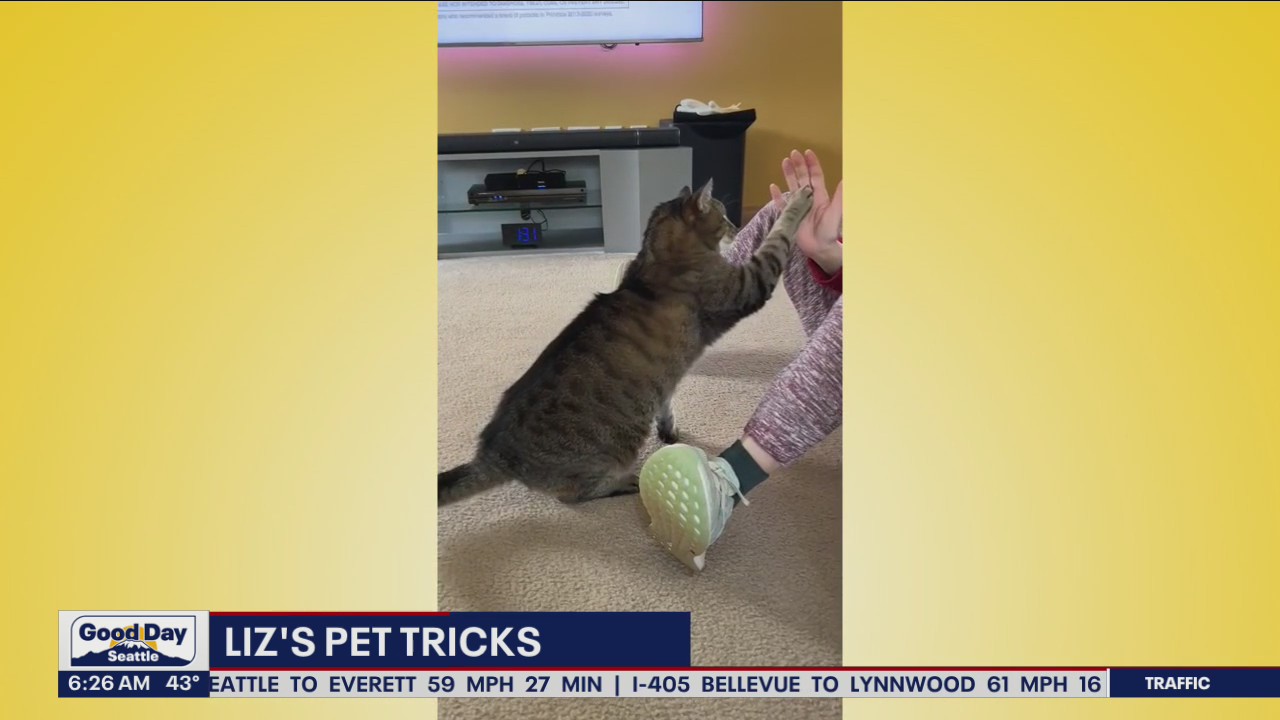 Liz's Pet Tricks for Monday, May 9