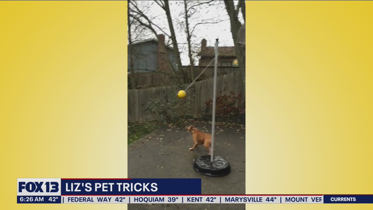 Liz's Pet Tricks for Tuesday, May 10