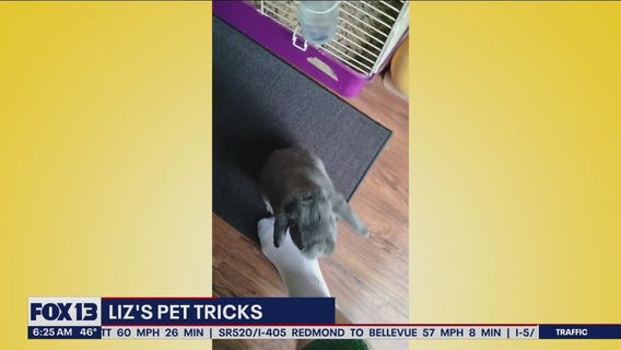 Liz's Pet Tricks for Thursday, May 12