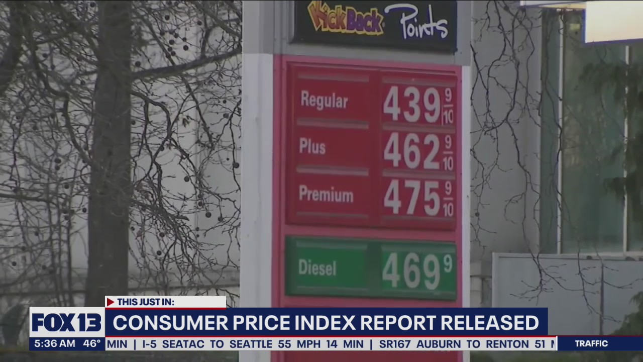 Consumer price index report released