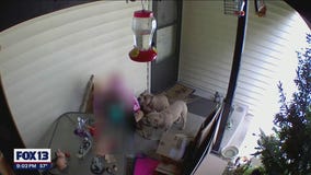 Auburn officer shoots dog running toward him after 11-year-old girl was bitten