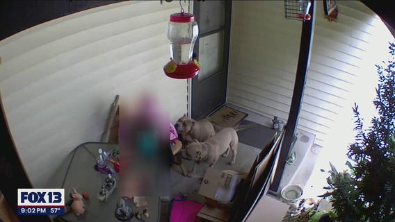 Auburn officer shoots dog running toward him after 11-year-old girl was bitten