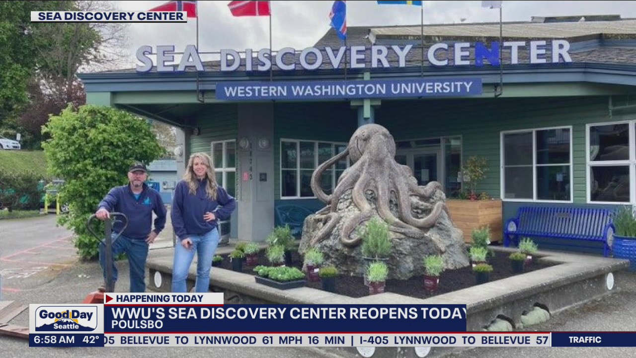 WWU's Sea Discovery Center reopens today