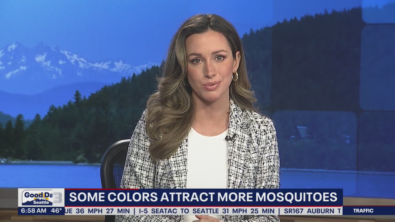 New study says the color of your clothes can attract more mosquitos