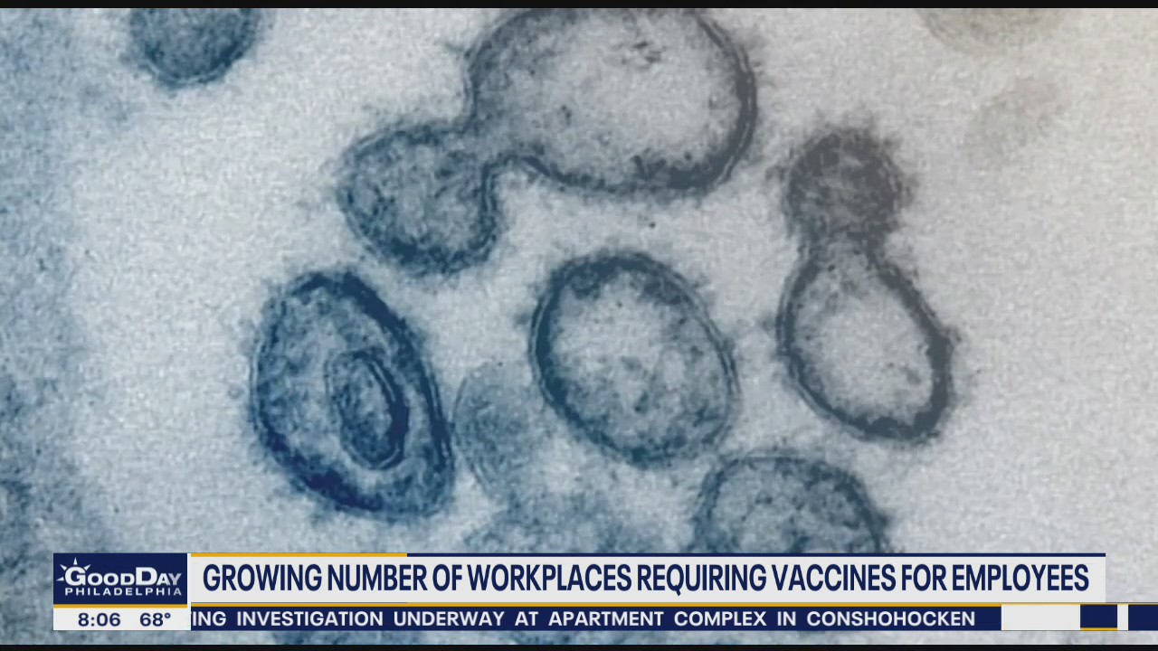 More workplaces are requiring vaccines for employees: is it legal?
