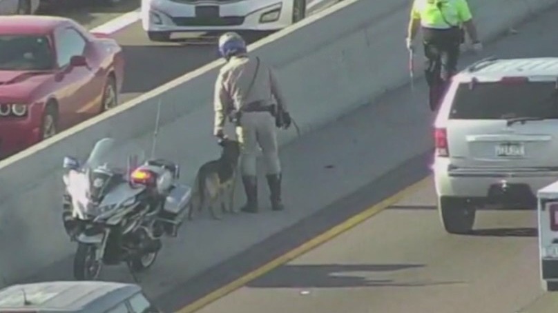 Dog rescued along I-17 near downtown Phoenix