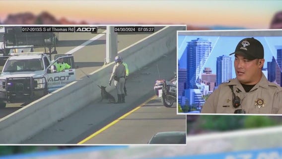 AZ trooper rescues German Shepherd off freeway