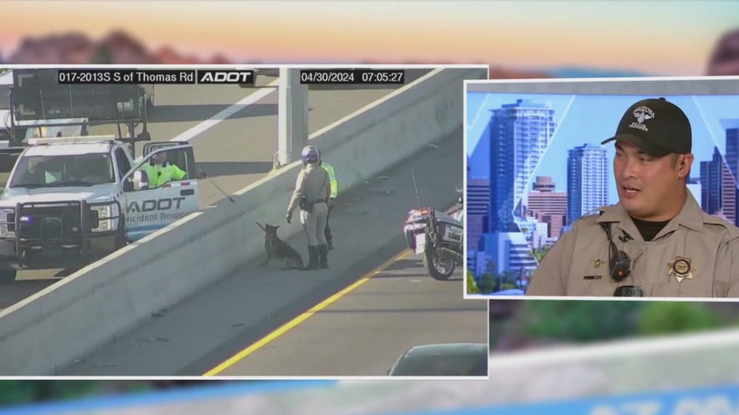 AZ trooper rescues German Shepherd off freeway