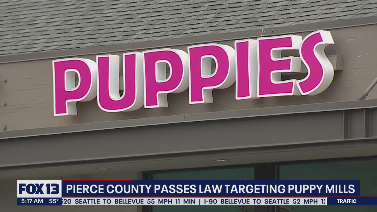 Pierce County passes law targeting puppy mills