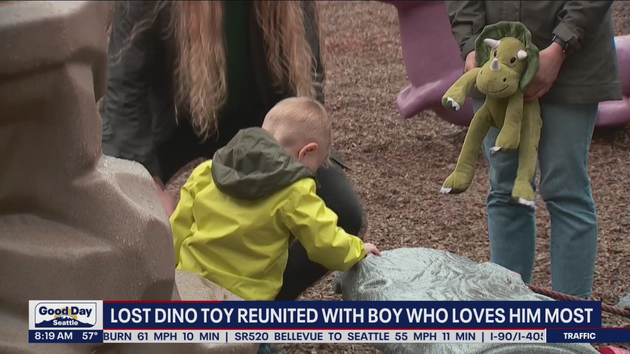 Lost dinosaur toy reunited with boy who loves him most