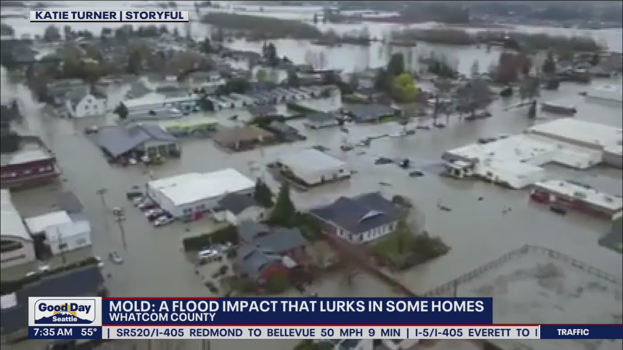 Mold: A flood impact that lurks in some Whatcom County homes